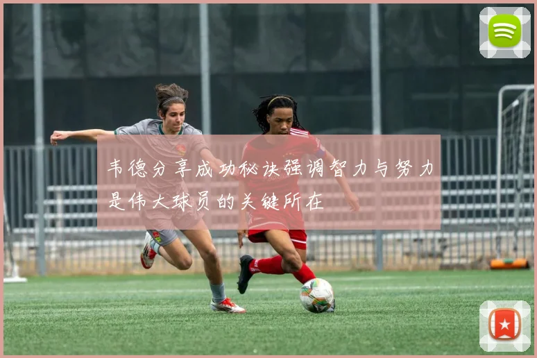韦德分享成功秘诀强调智力与努力是伟大球员的关键所在